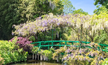 莫內花園（吉維尼）